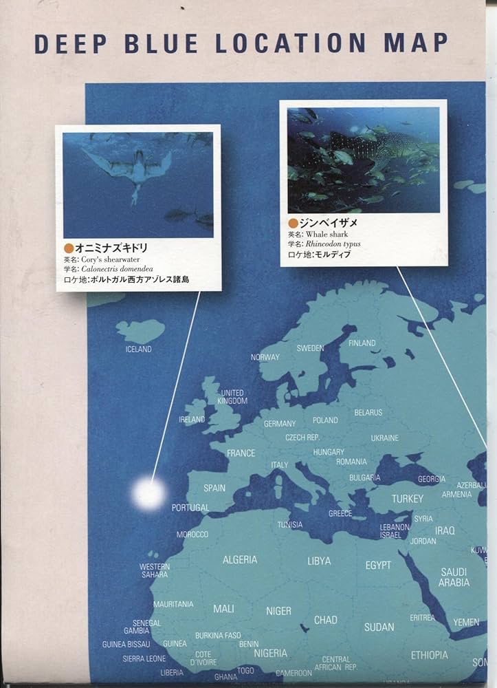 ディープ・ブルー スペシャル・エディション('03英/独)〈2枚組〉 ディープ・ブルー スペシャル・エディション('03英/独)〈2枚組